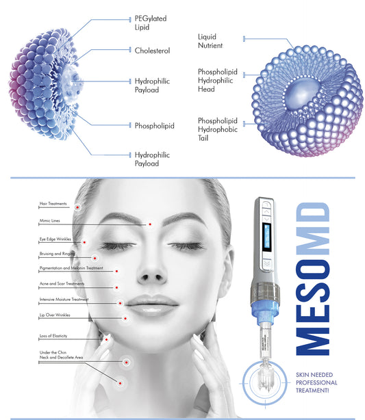 MesoMD